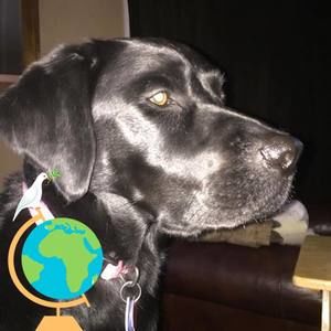 Meet your Posher, Tony